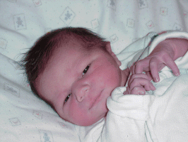 Costas newborn picture.gif (366623 bytes)